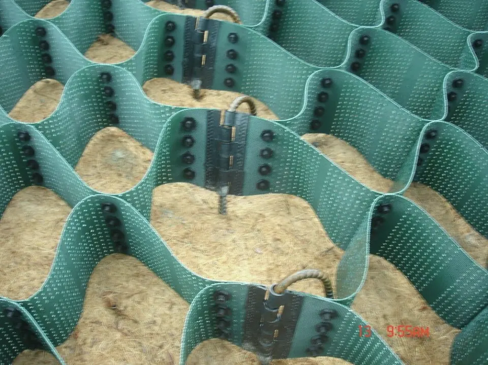 蜂巢格框近拍,綠色格室內填有褐色材料,可見黑色鉚釘與連接件