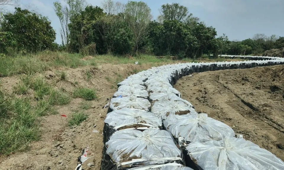 白色袋體沿土坡堆疊成長條,兩側為草地與整地後的土面
